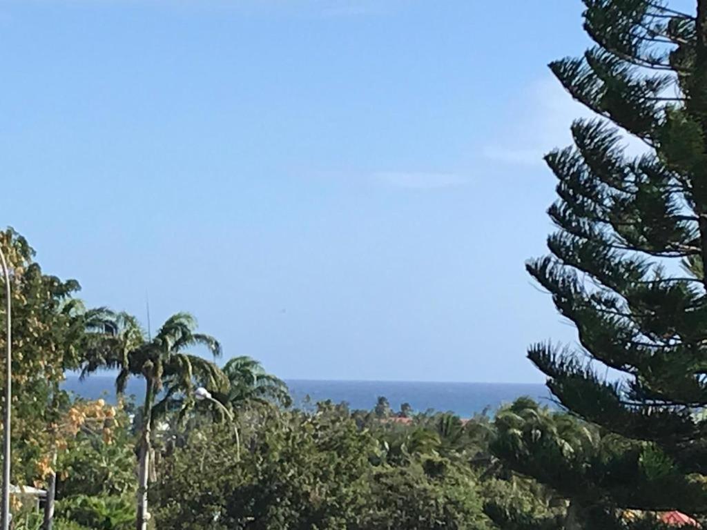 Villa La Belle Creole 圣弗朗索瓦 外观 照片