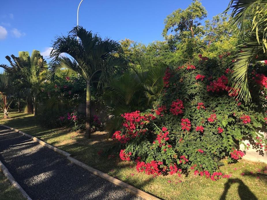 Villa La Belle Creole 圣弗朗索瓦 外观 照片